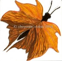 maple leaf butterfly