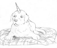 Unipup