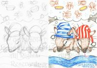 Numbat Dreams