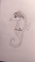 Pirate Seahorse