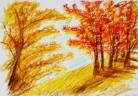 Indian Summer