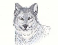 Wolfie