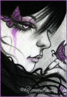 The Prettiest Wings