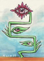 See Flower