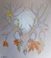 Hallow Moon