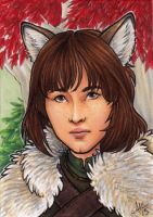 Bran Stark