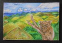 My Tarsier
