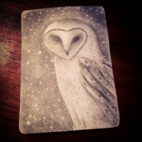 Snow Bird