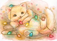 Christmas Light Kitty