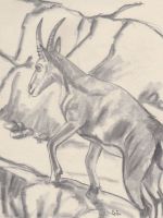 Capricorn