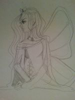 Queen Butterfly