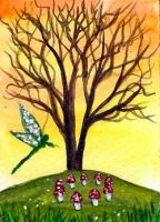 Fairy Ring