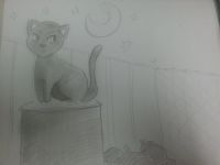 Alley Cat
