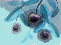 Strange fruit