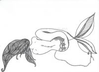 Hook,Line & Sinker - Mermaid