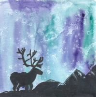 Northern Lights