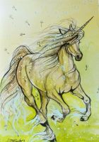 Breeze