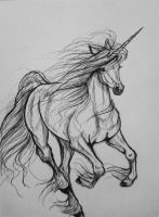 breeze