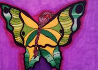 Beautiful Wings