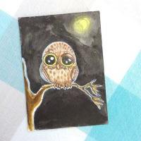 Cute owl