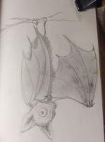 Lil Bat