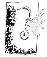 Hummingdragon
