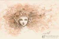 Petals in the Wind (finished)