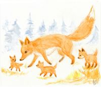 Fox family