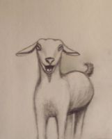 Goat Holler