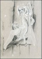 Midsummer night dream