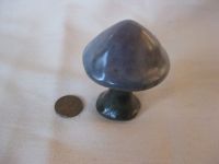 Lonely mushroom in muted purples