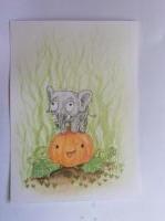 Tiny elephant