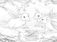 Fairy Rats