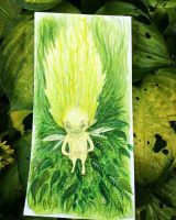 Hairy fairy