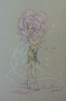 Rose Fairy