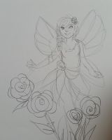 Fairy Rose