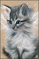 Furry Kitty Fairy