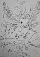 Flying Squirrel