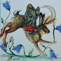 Moonlight and harebells