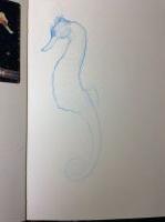 Seahorse
