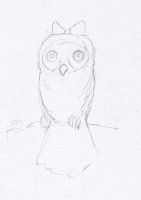Cute Owl