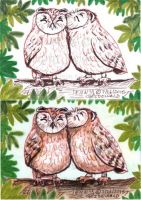 Cute Owl