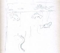 Fishes in the Pond