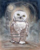 Snowy Owl