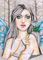 White rose of winter