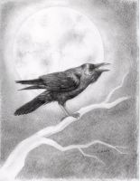 Under the Raven Moon