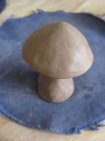 Lonely mushroom