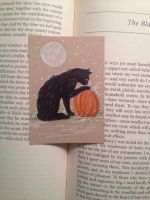 Halloween Kitty