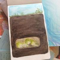 Deeply sleeping seeds
