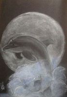Moonlight Dance
